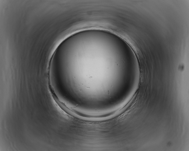 X0000097991532200804020957