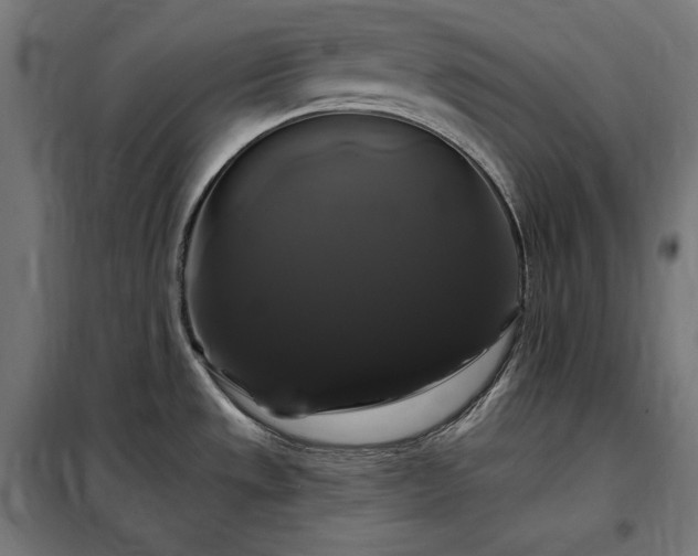 X0000097991533200804020957