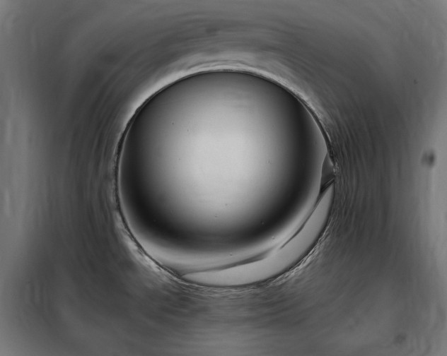 X0000097991534200804020957