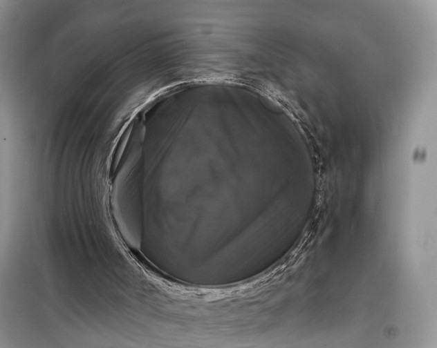 X0000097990002200804071204