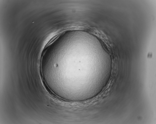 X0000097990003200804071204