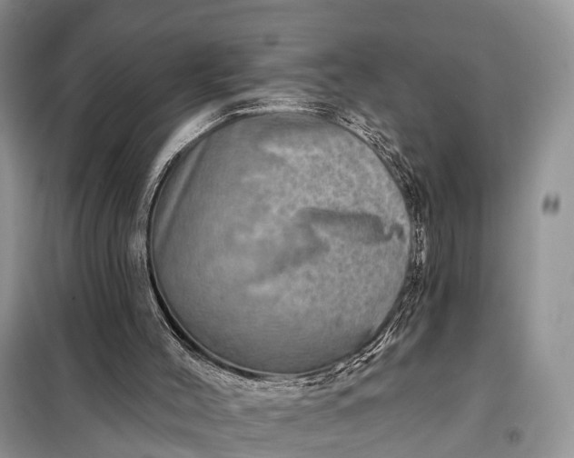 X0000097990004200804071204