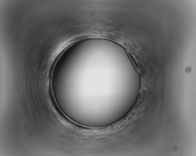 X0000097990005200804071204