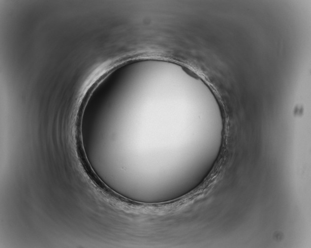 X0000097990007200804071204