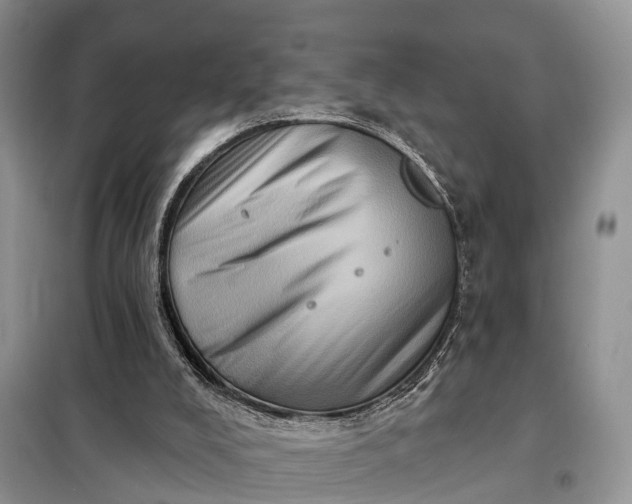 X0000097990008200804071204
