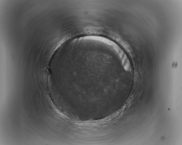 X0000097990009200804071204