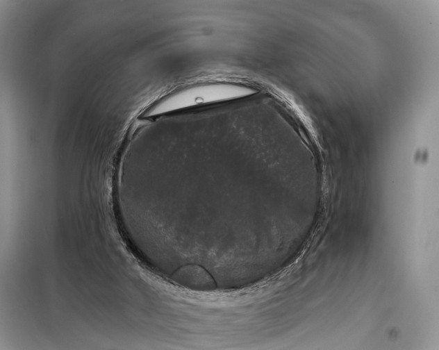X0000097990010200804071204