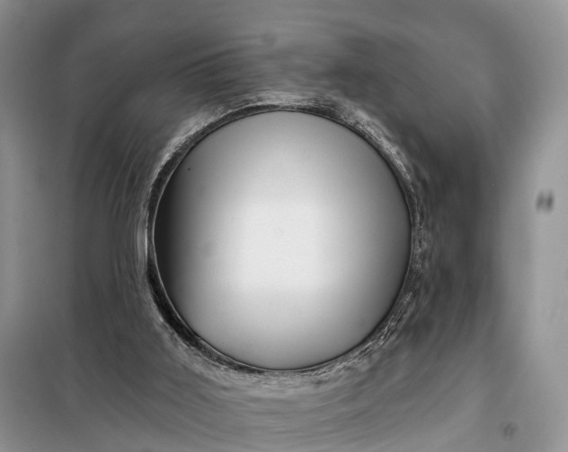 X0000097990011200804071204