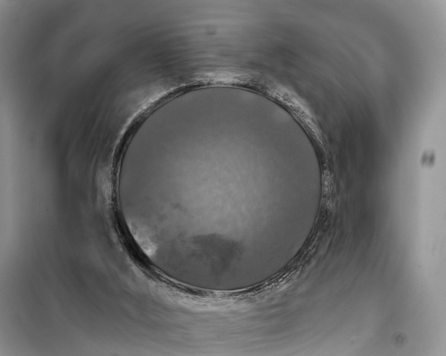 X0000097990012200804071204