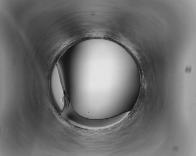 X0000097990013200804071204