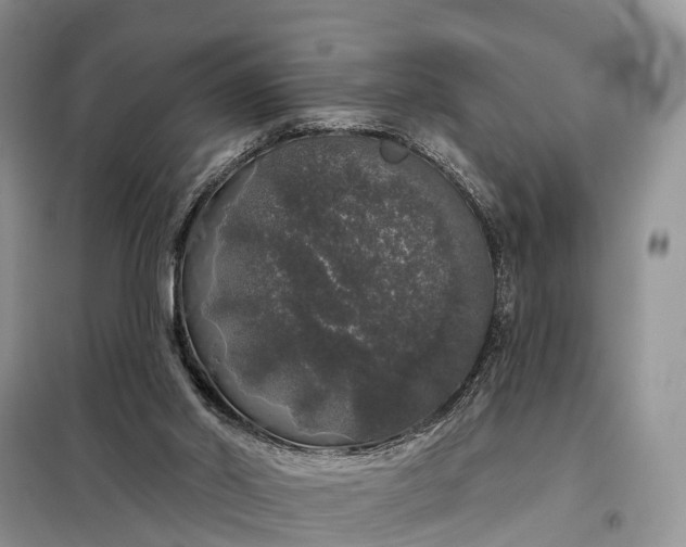 X0000097990014200804071204