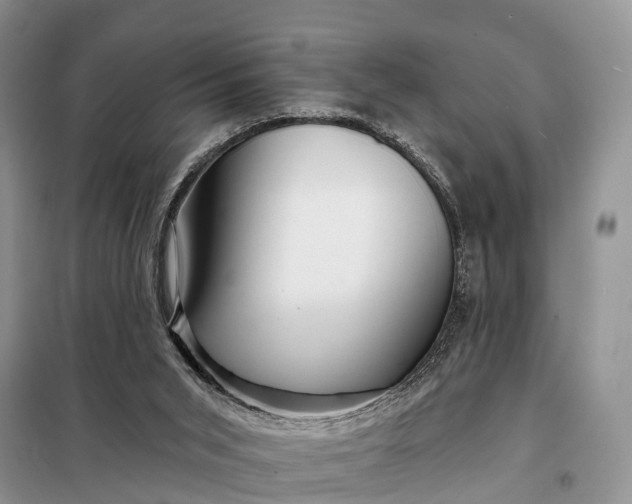 X0000097990015200804071204