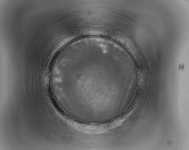 X0000097990016200804071204