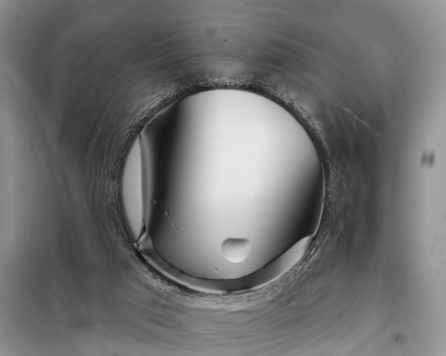 X0000097990017200804071204