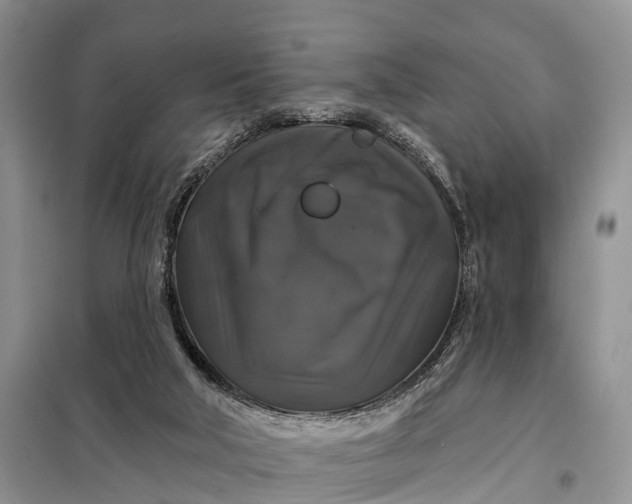 X0000097990018200804071204
