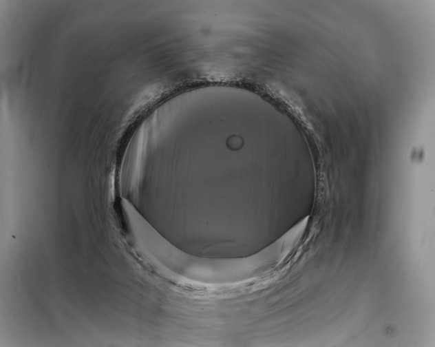 X0000097990019200804071204