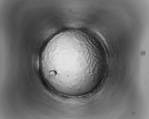 X0000097990020200804071204