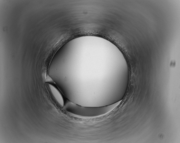 X0000097990021200804071204