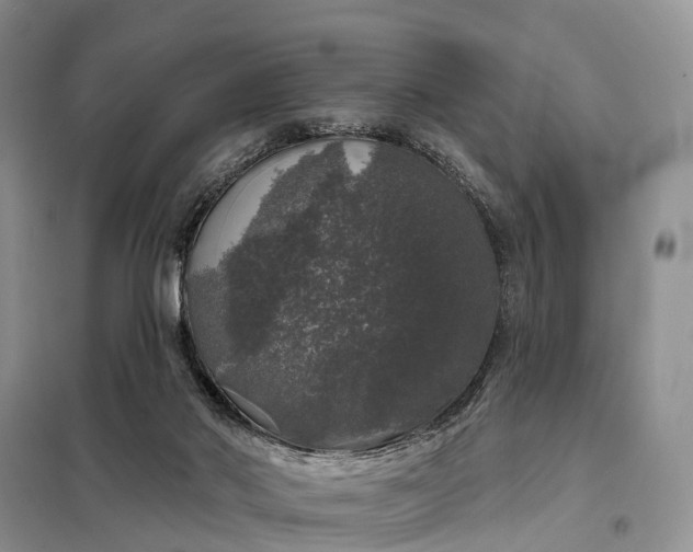X0000097990022200804071204