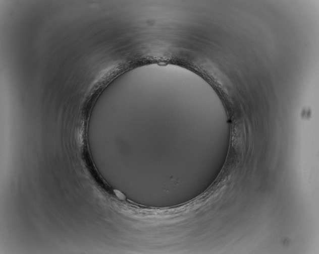 X0000097990023200804071204