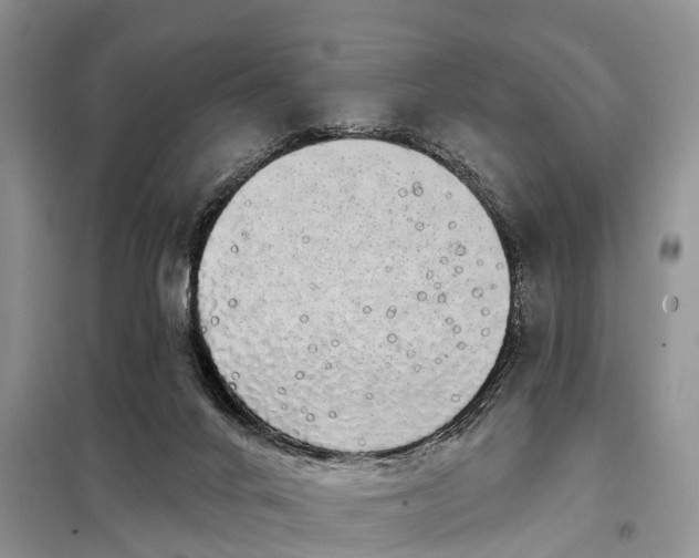 X0000097990024200804071204