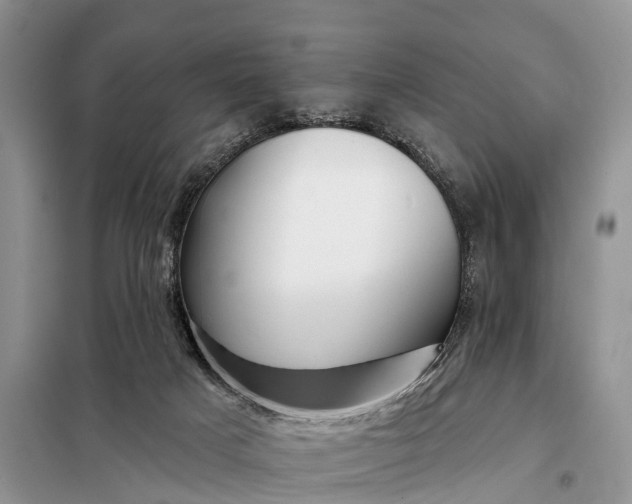 X0000097990025200804071204