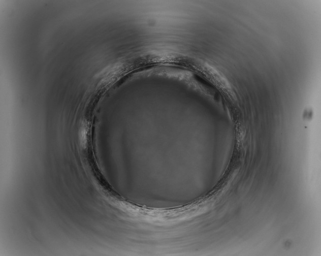 X0000097990026200804071204