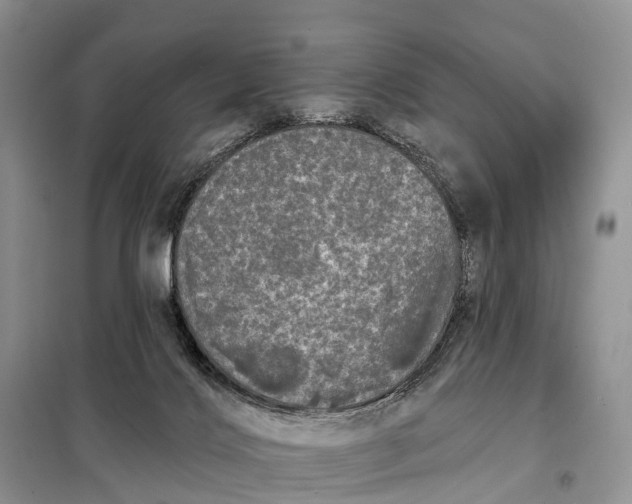 X0000097990028200804071203