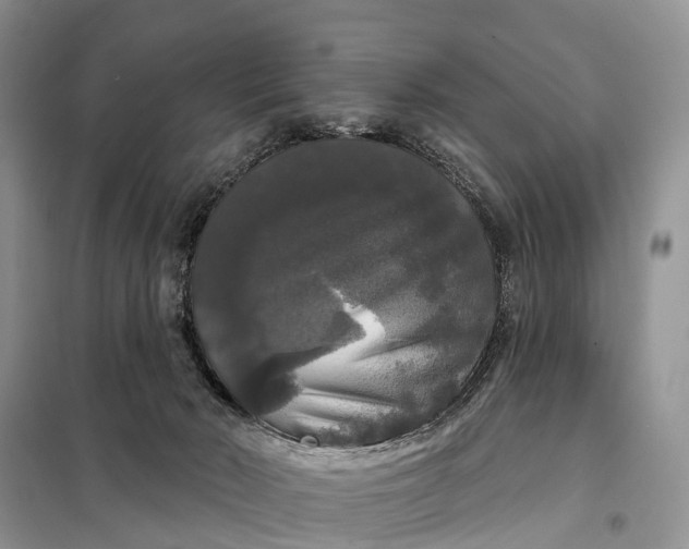 X0000097990030200804071203