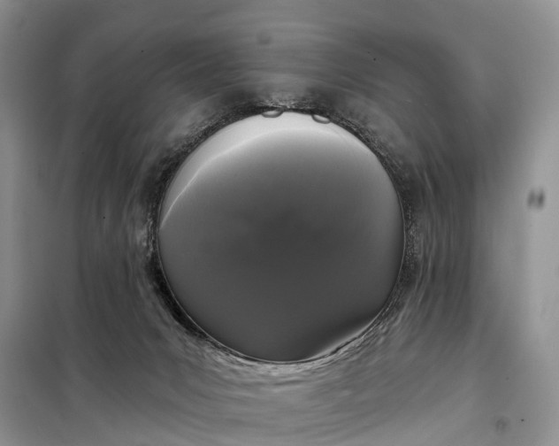 X0000097990031200804071203
