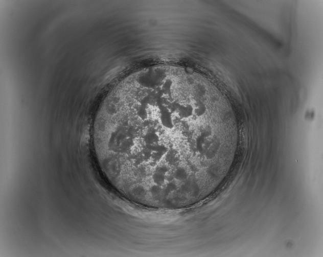 X0000097990032200804071203