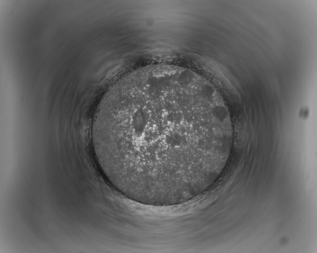 X0000097990034200804071203