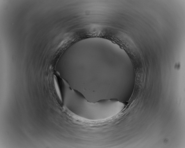 X0000097990035200804071203