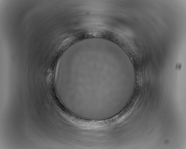 X0000097990036200804071203