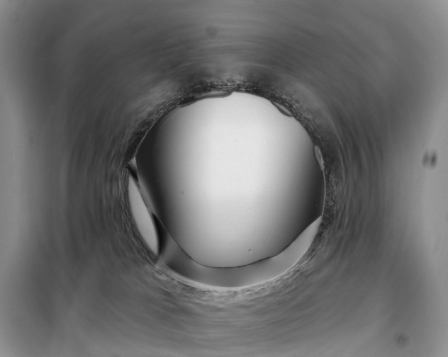 X0000097990037200804071203