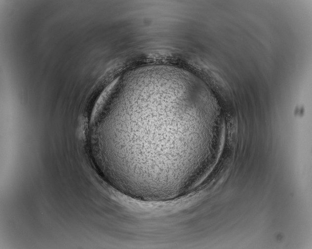 X0000097990038200804071203
