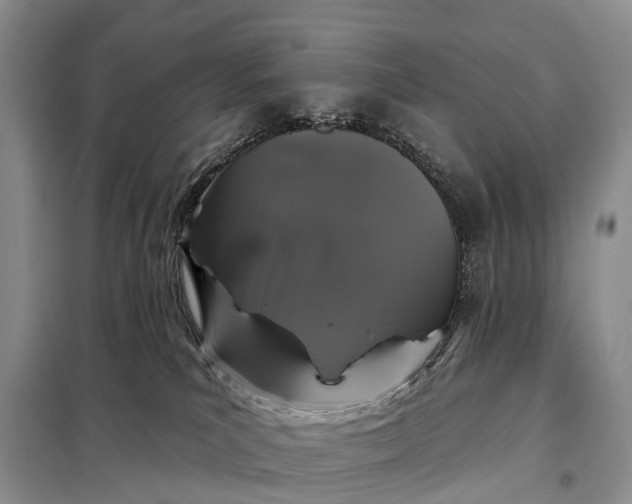 X0000097990039200804071203