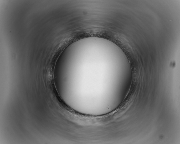 X0000097990040200804071203