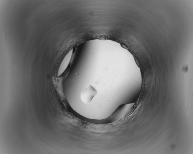 X0000097990041200804071203