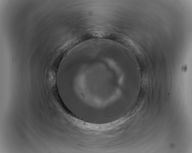 X0000097990043200804071203