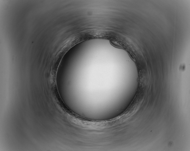 X0000097990044200804071203