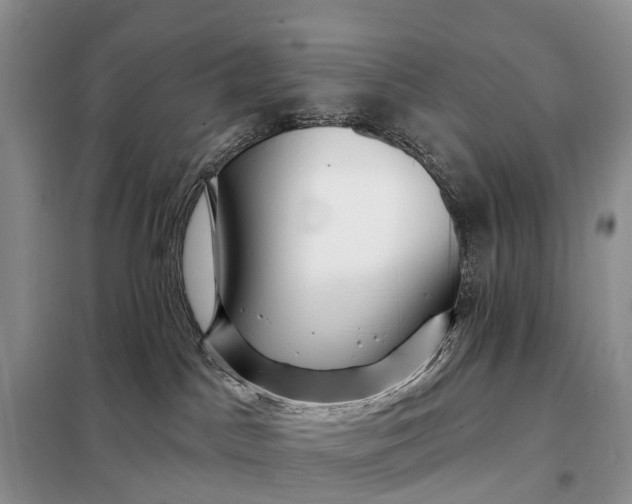 X0000097990045200804071203