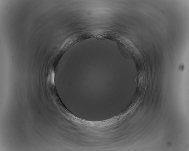 X0000097990046200804071203