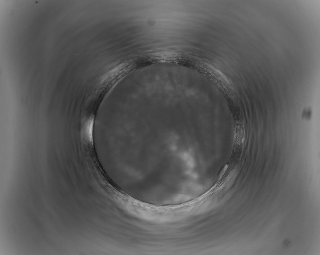 X0000097990047200804071203