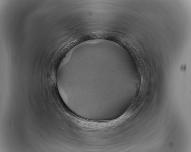 X0000097990048200804071203