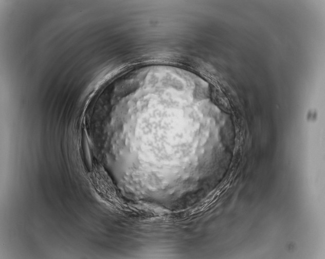 X0000097990050200804071203