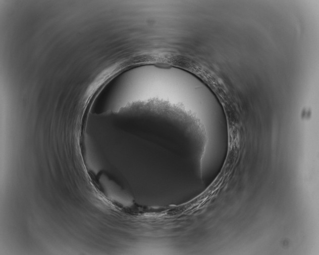 X0000097990051200804071203