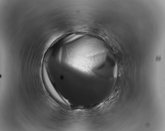 X0000097990052200804071203