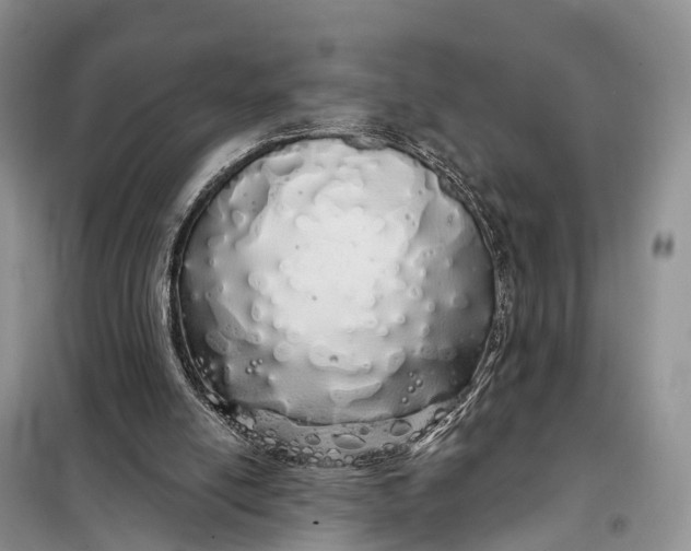 X0000097990054200804071203