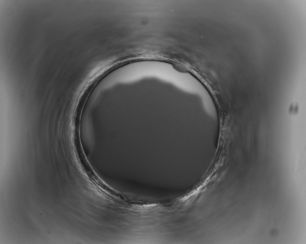 X0000097990055200804071203